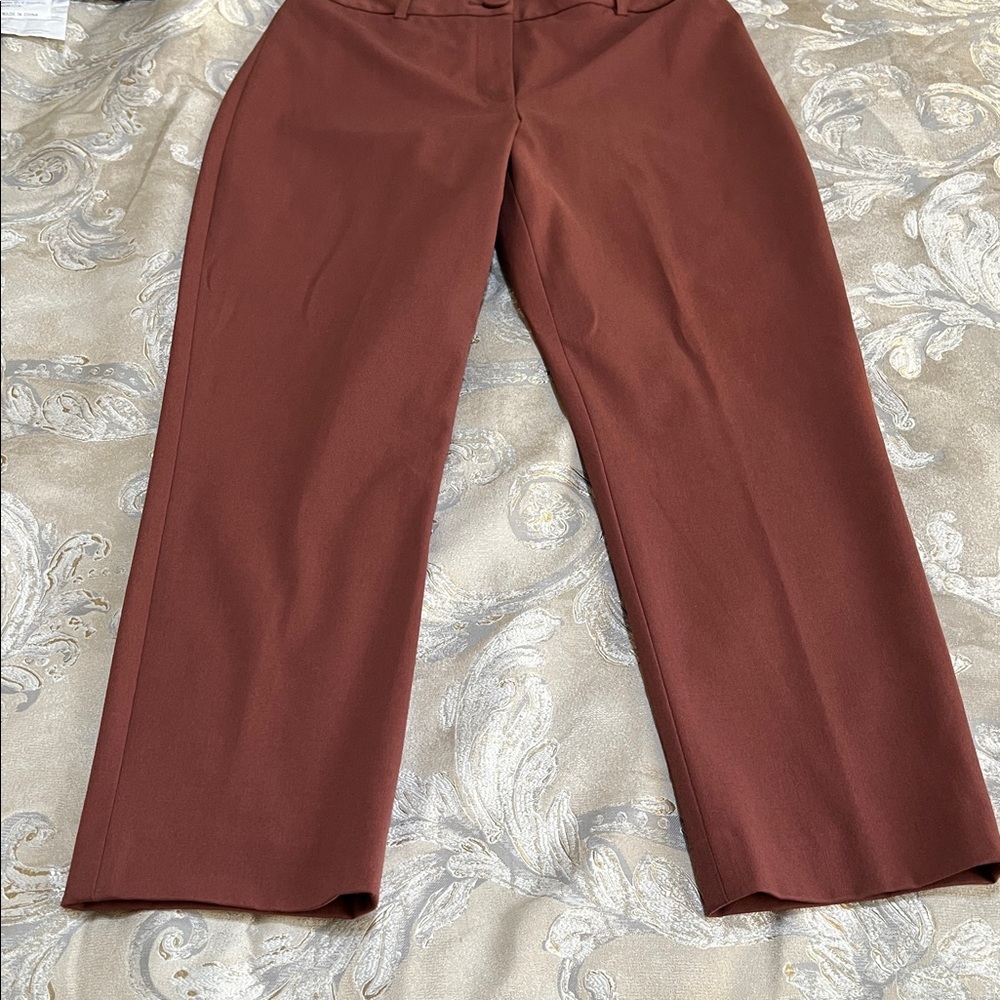 Giani Bernini Women's Brown Trousers